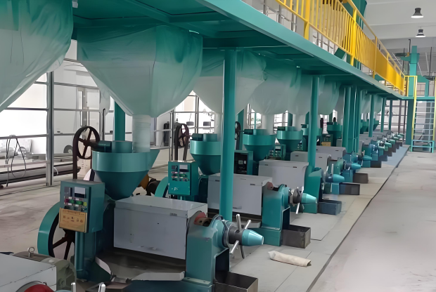 葡萄籽油榨油设备生产线